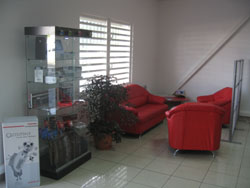 Salon